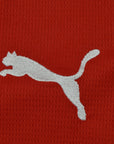 Austria 26 Home World Cup 2026 - Fan Version