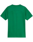 Camisa Palmeiras 25/26 Treino verde