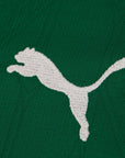 Palmeiras Home Fan Jersey 2025/26