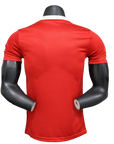Arsenal 25/26 Pre-Match Jersey - Red - Player Version