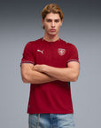 Czech Republic World Cup 2026 - Fan Version