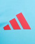 Camisa Adidas Treino Flamengo 2025/26