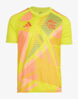 Camisa Adidas Flamengo 2025/26 I Goleiro