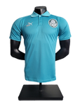 Palmeiras 23/24 Polo Edition Jersey - Light Green - Fan Version
