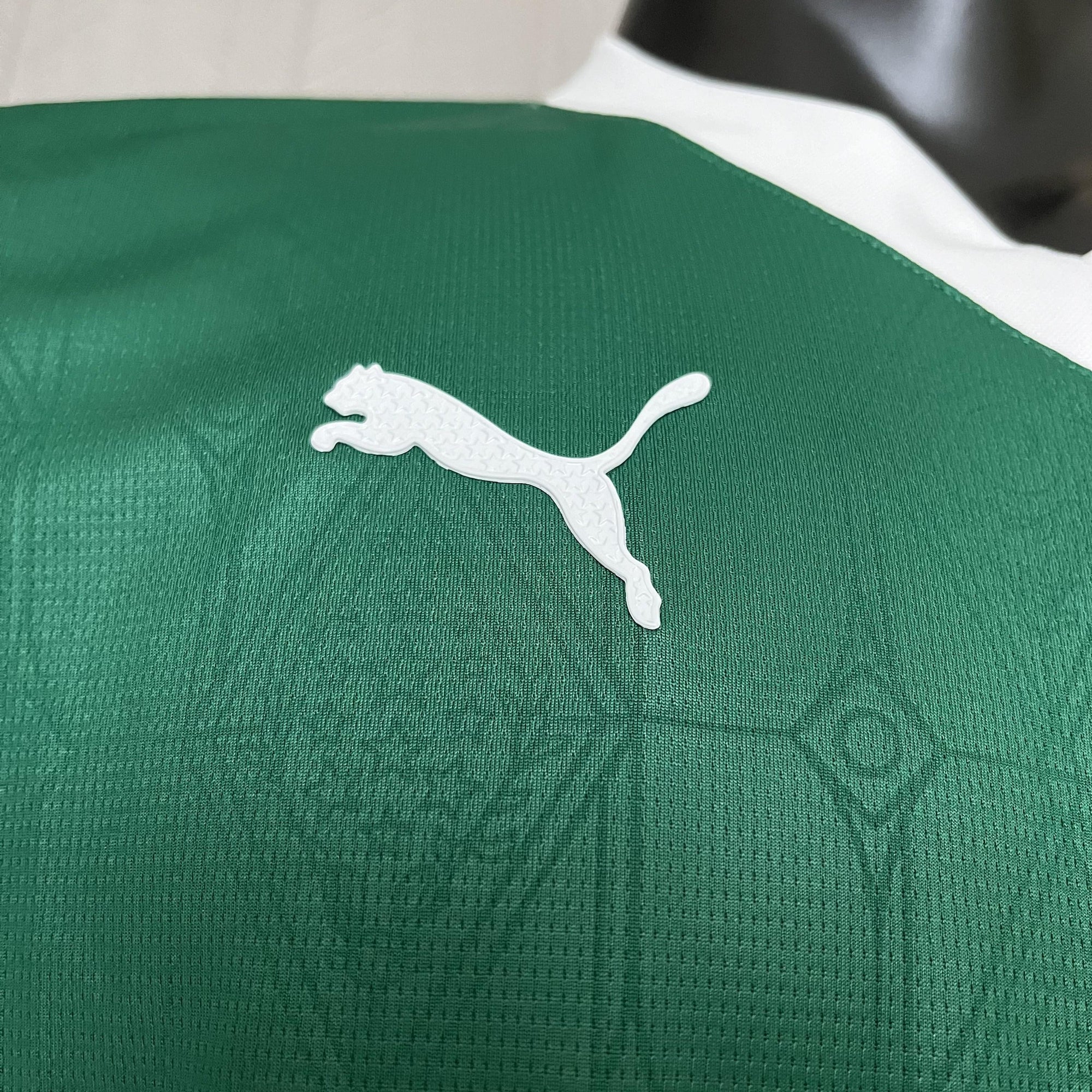 Palmeiras 2025/26 Player - [Slim Fit] - Slim Fit