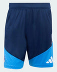 Cruzeiro 26/27 Training Shorts - Dark Blue